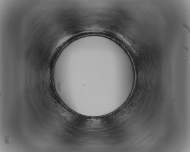 X0000094971315200712131445