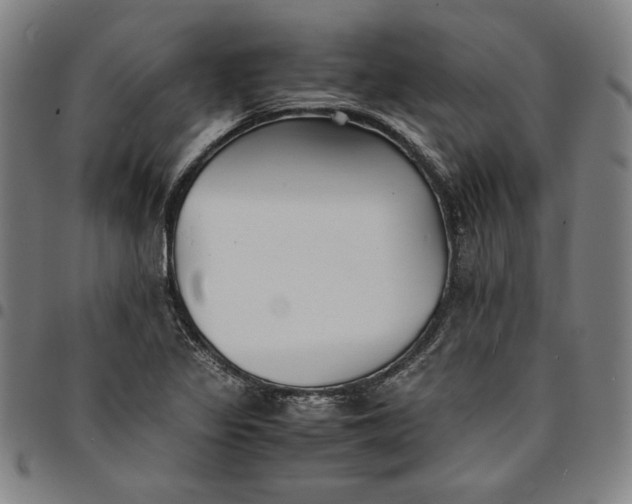 X0000094971317200712131445