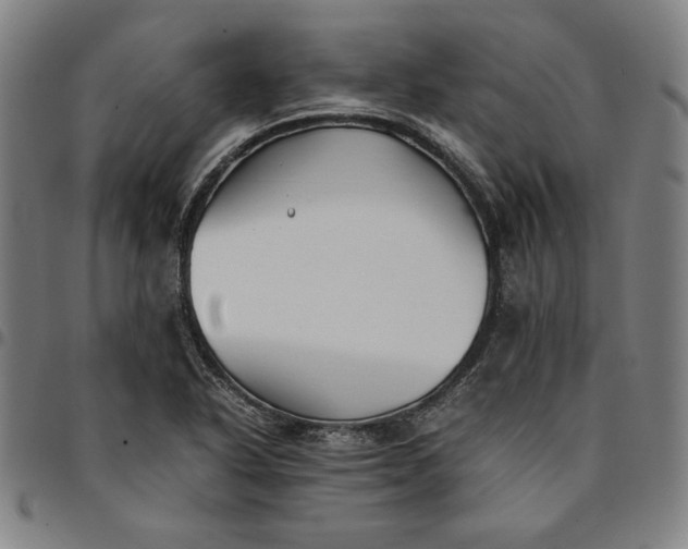 X0000094971318200712131445