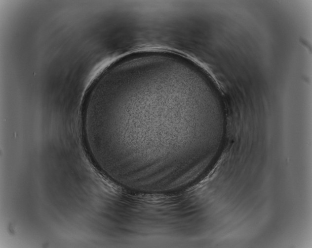 X0000094971319200712131445