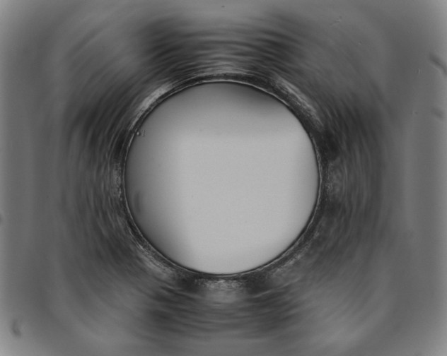 X0000094971321200712131445