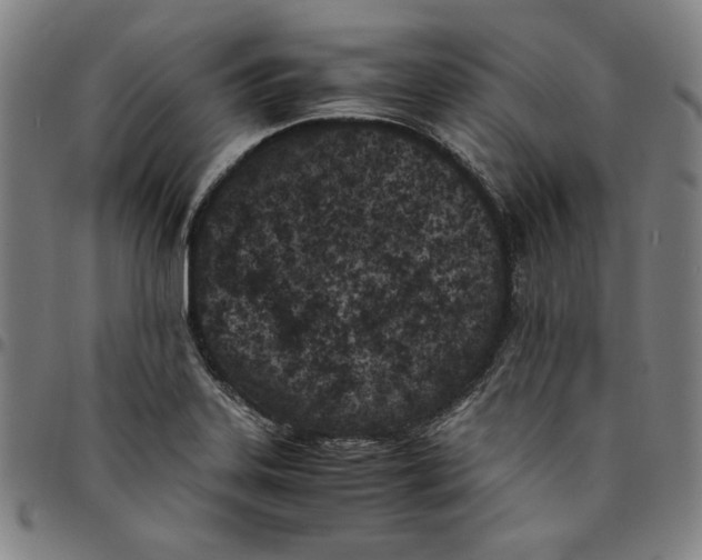 X0000094971323200712131445