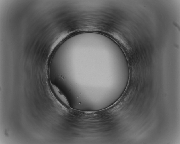 X0000094971325200712131446