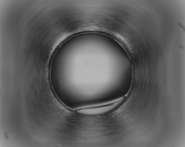 X0000094971326200712131446