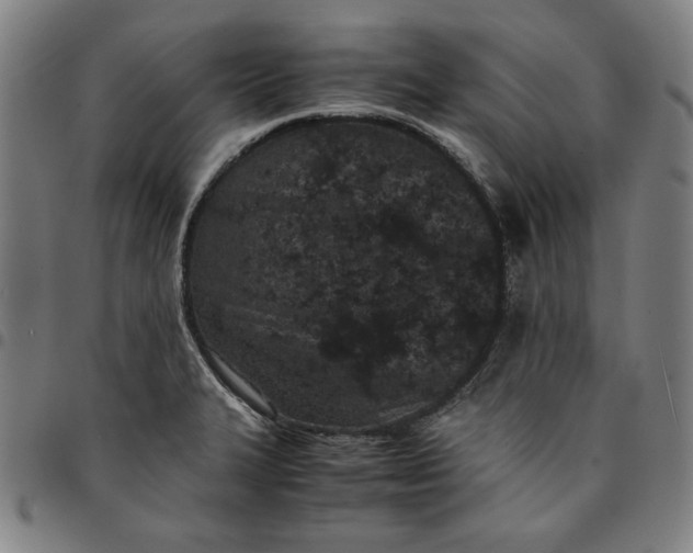 X0000094971327200712131446