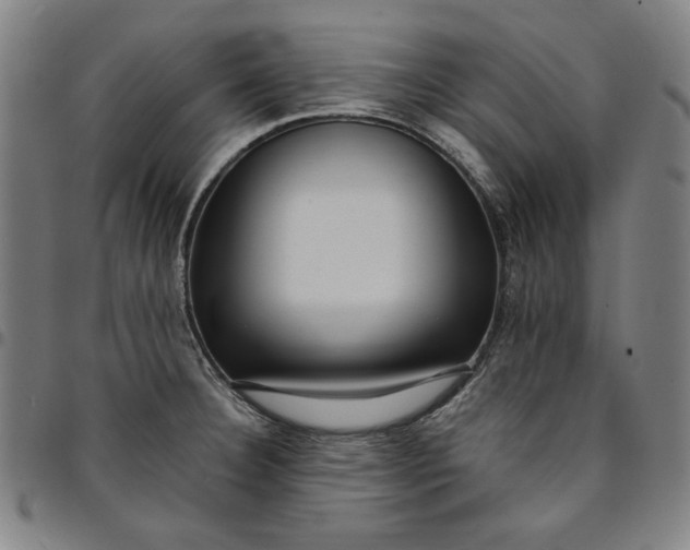 X0000094971332200712131446