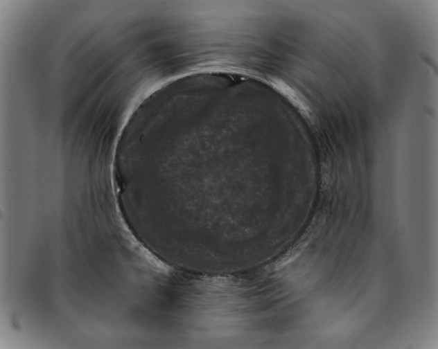 X0000094971334200712131446