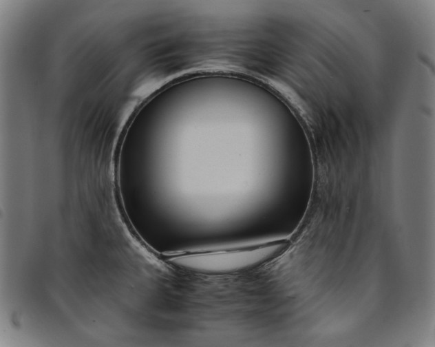 X0000094971335200712131446