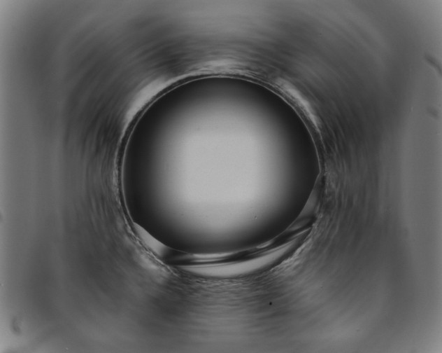 X0000094971336200712131446