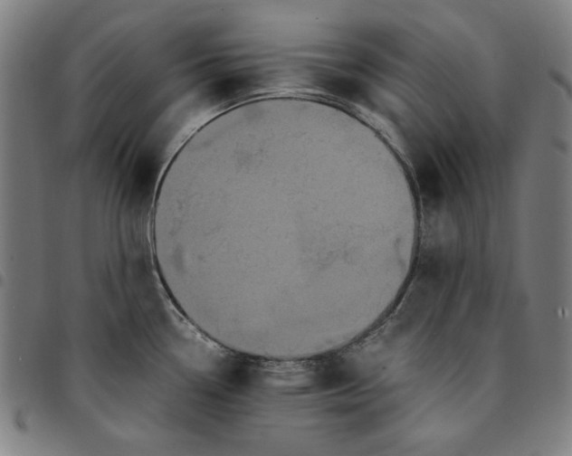 X0000094971338200712131446