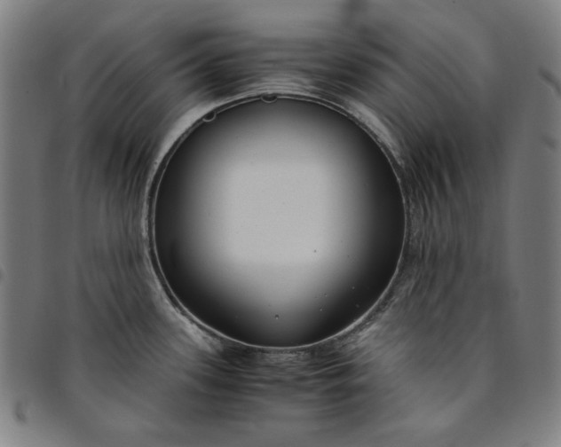 X0000094971339200712131446