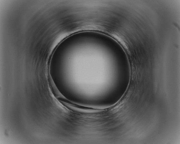 X0000094971342200712131446