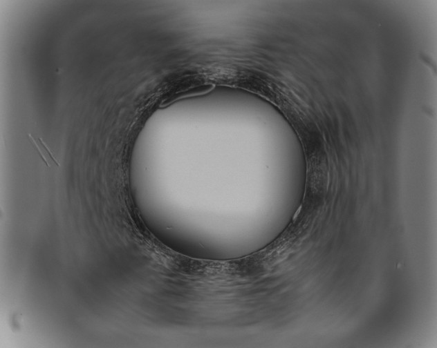 X0000094971345200712131445