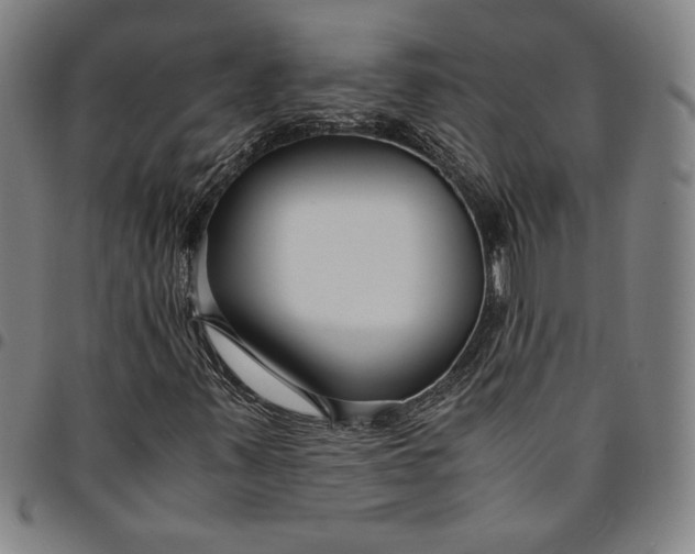 X0000094971347200712131445