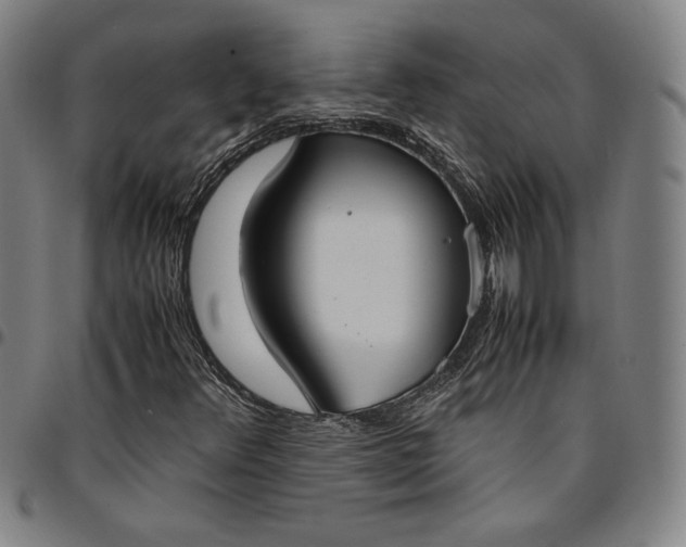 X0000094971348200712131445