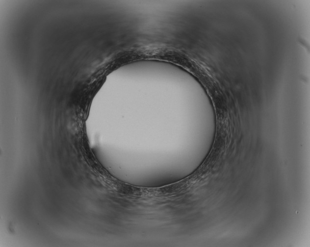 X0000094971349200712131445