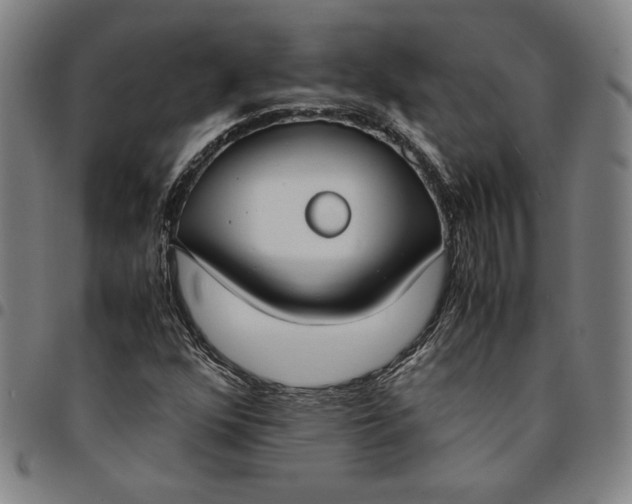 X0000094971352200712131445