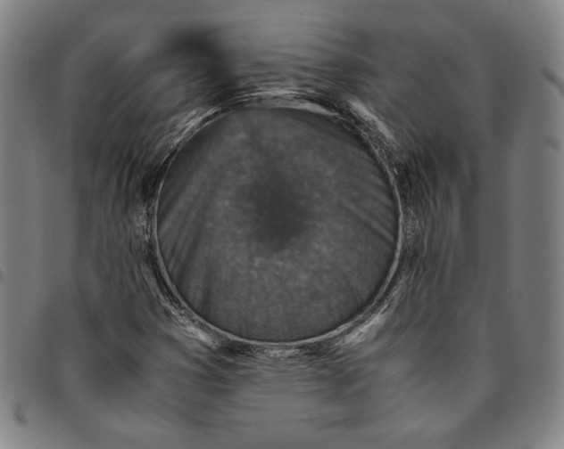 X0000094971353200712131445