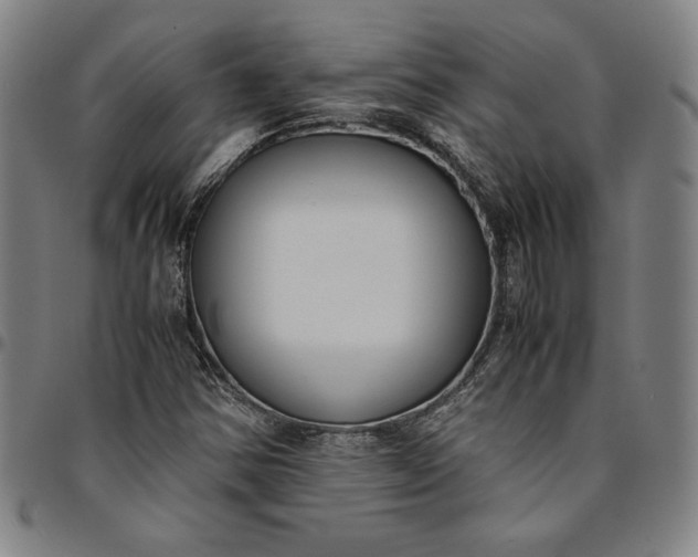 X0000094971354200712131445