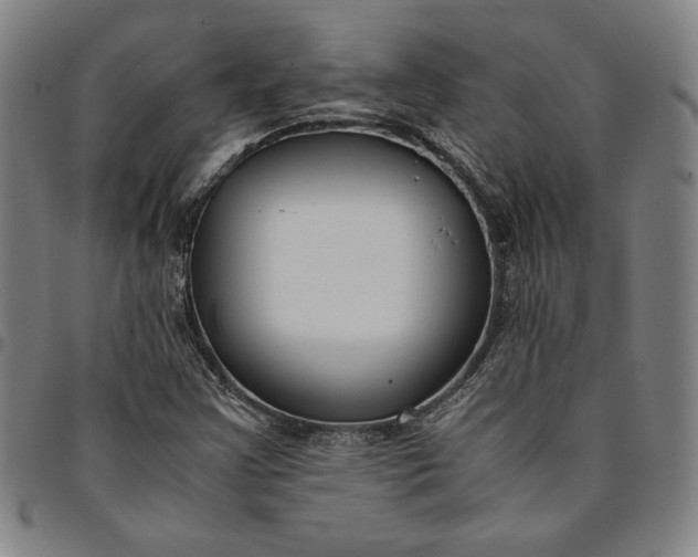 X0000094971355200712131445