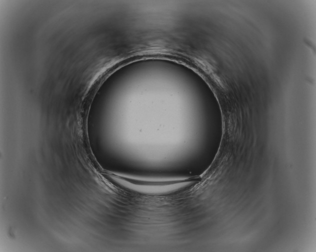 X0000094971356200712131445