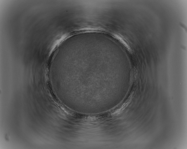 X0000094971357200712131445