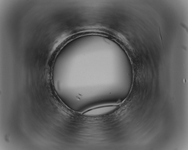 X0000094971360200712131445