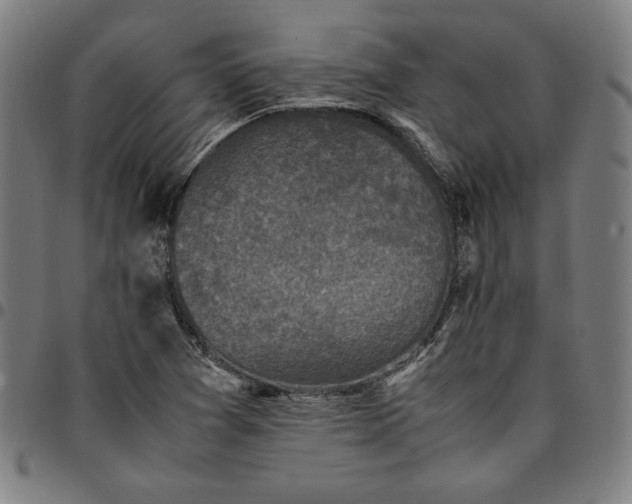 X0000094971361200712131445