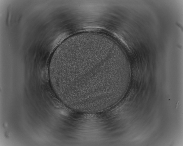 X0000094971362200712131445