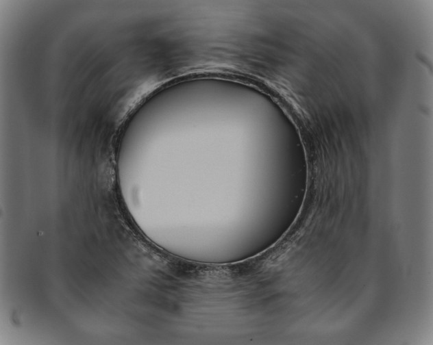 X0000094971363200712131445