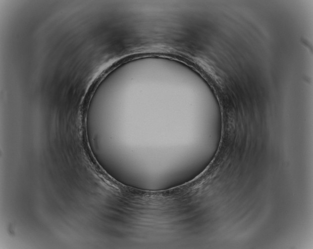 X0000094971364200712131445