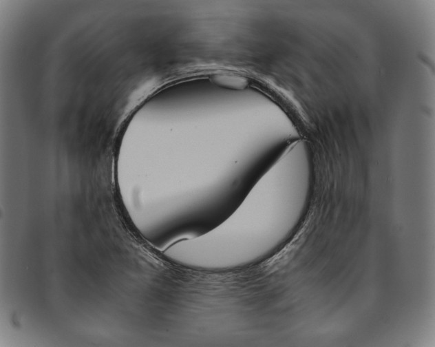 X0000094971365200712131445