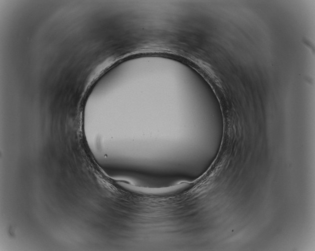 X0000094971366200712131445