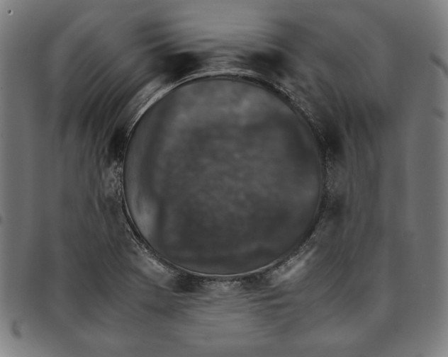 X0000094971369200712131445