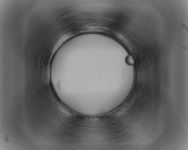 X0000094971370200712131445