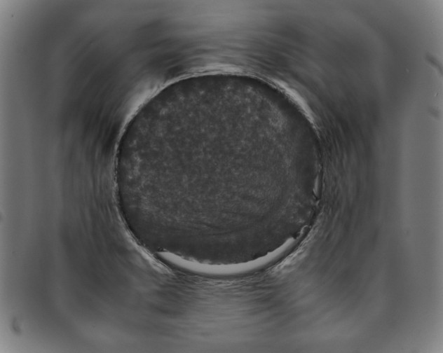 X0000094971373200712131445