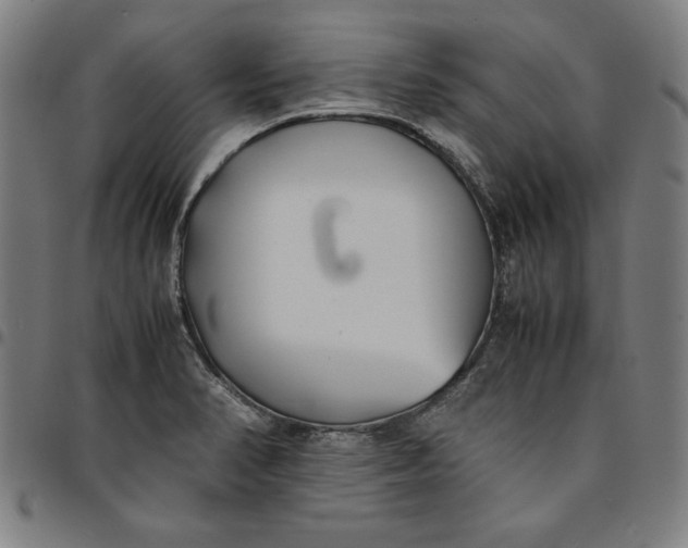 X0000094971374200712131445