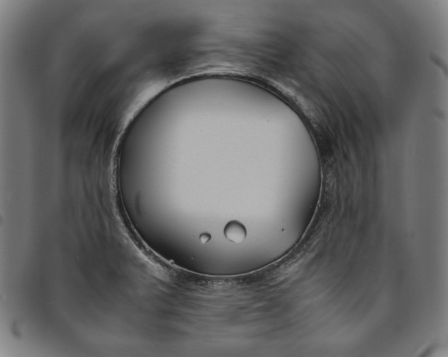 X0000094971375200712131445