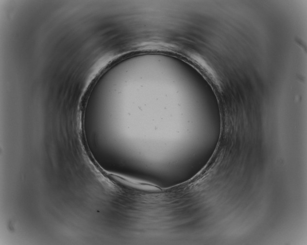 X0000094971376200712131445