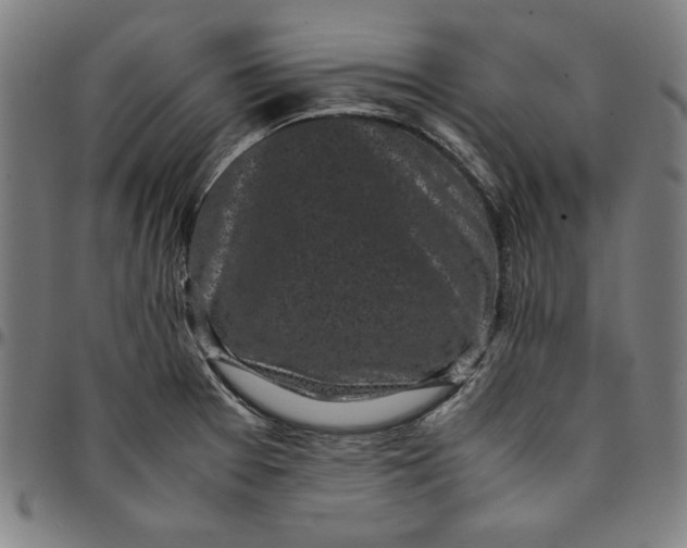 X0000094971377200712131445