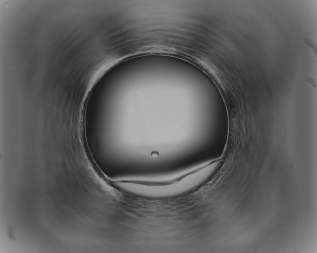 X0000094971379200712131445