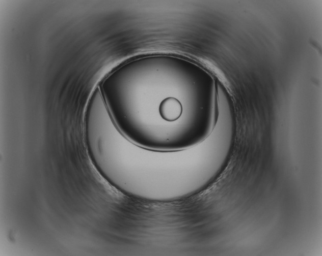 X0000094971380200712131445