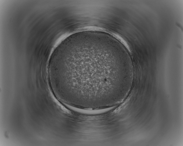 X0000094971381200712131445