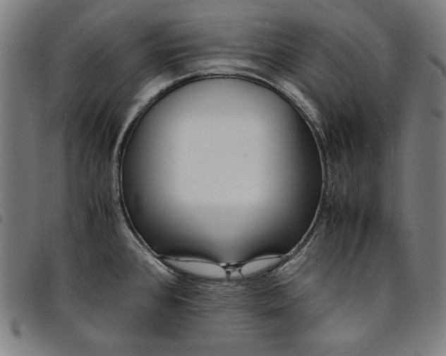 X0000094971384200712131445