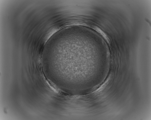 X0000094971385200712131445