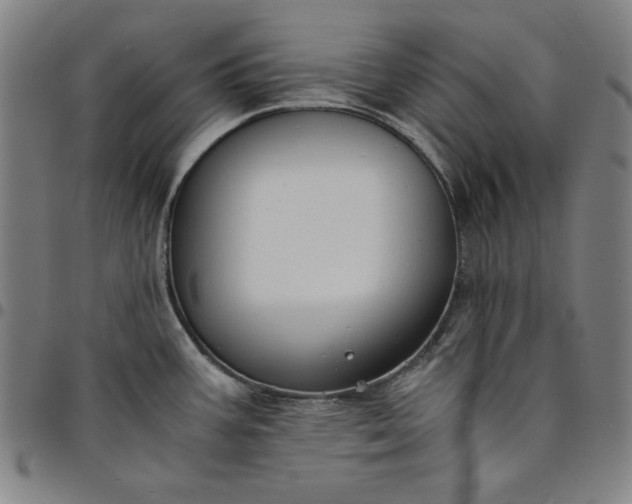 X0000094971387200712131445