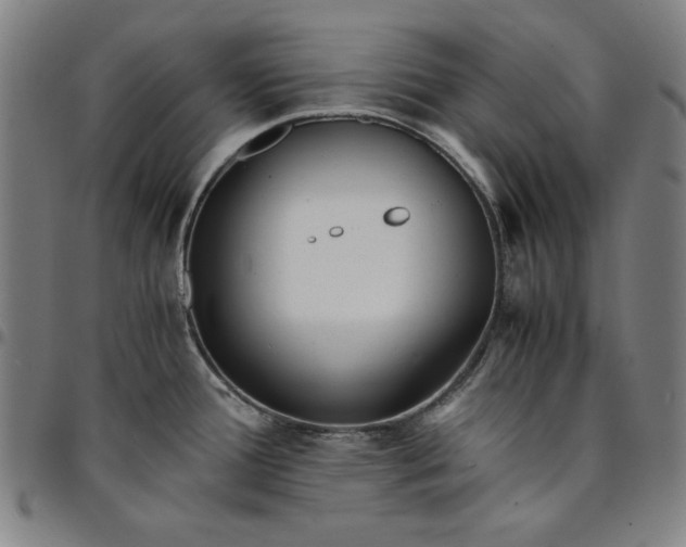 X0000094971388200712131445