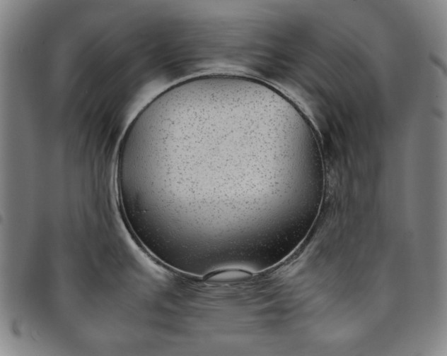 X0000094971391200712131444