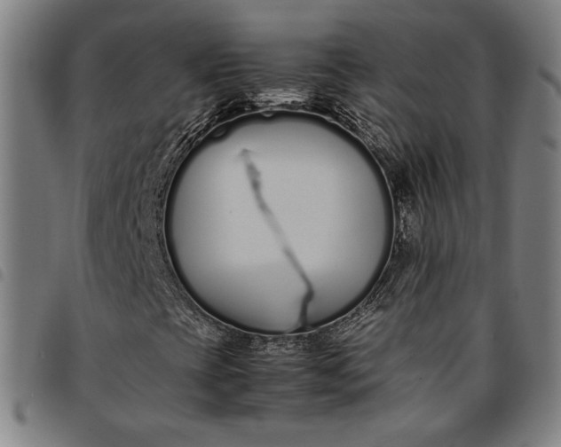 X0000094971393200712131444