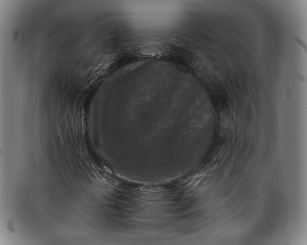 X0000094971394200712131444